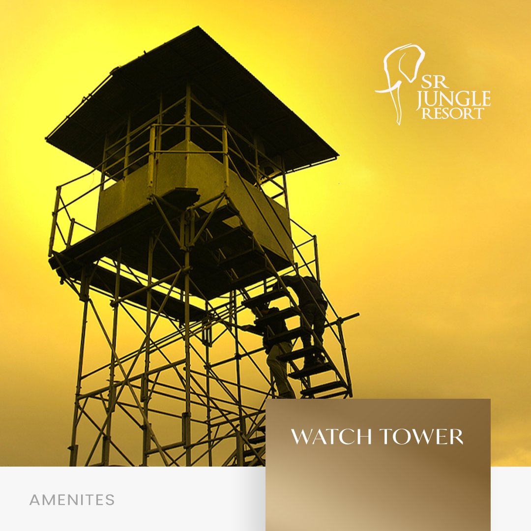 Watchtower that offers a breathtaking panorama of the lush wilderness. Every step up feels like a journey into the wild unknown, and from the top, time stands still as you take in the beauty of untamed nature

#JungleRetreat #NatureWatch #IntoTheWild #HiddenGems #WildernessWonder