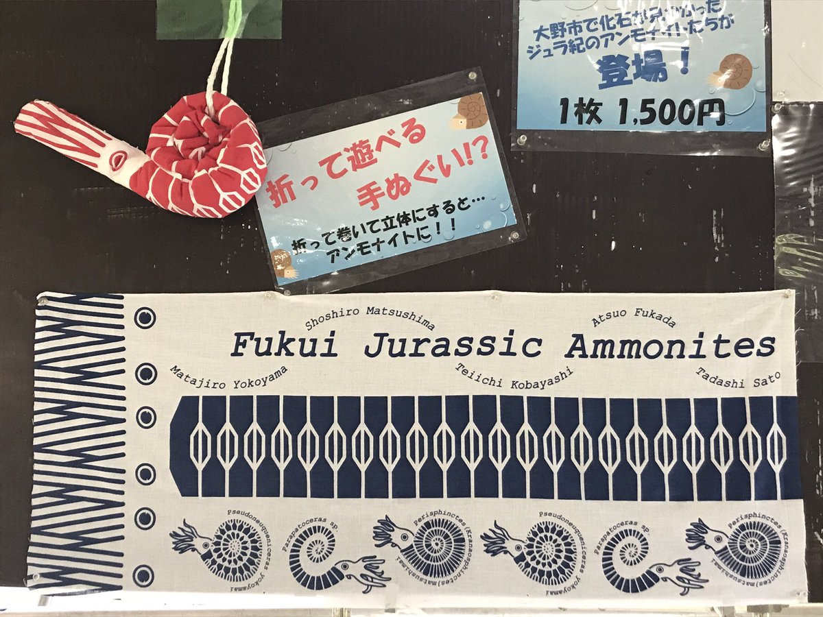 YuSKI35's tweet photo. #APC2 の巡検でも大注目された「福井ジュラシックアンモナイト手ぬぐい」

大野市の #HOROSSA でしか買えないグッズです✨ https://t.co/4Dutm242d1