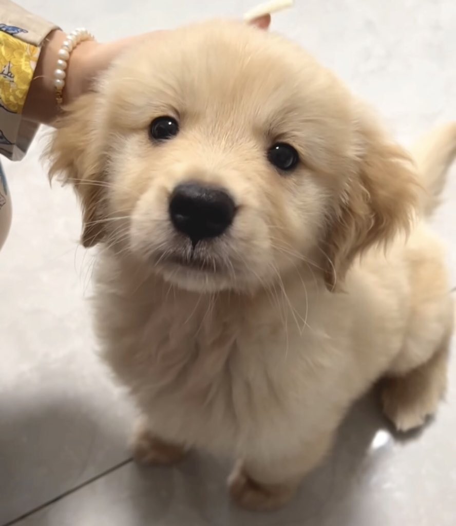 แค่นี้ก้ตามใจกันไม่ได้เลย งอน