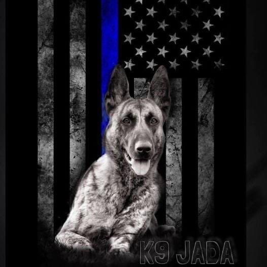 HackettstownPD's tweet photo. Today we remember K9 Jada. On Aug. 19, 2020, K9 Jada was on duty when her health rapidly declined. Life-saving measures were performed but unfortunately, she passed from cardiac related complications. Her spirit of service is alive today &amp; always will be. K9 Jada EOW 8/19/2020 🐾 https://t.co/sEB3Xjj4UH