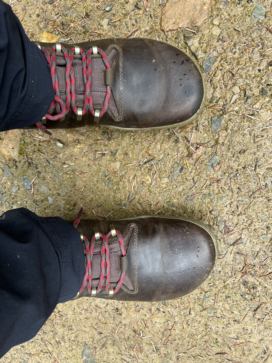 New kit shoutout! Finally took the plunge on barefoot hiking boots as an alternative to trusty Scarpas.  These are a pair of Tracker II from <a href="/VIVOBAREFOOT/">VIVOBAREFOOT</a> .The comfiest boots I have ever owned. With rains forecast excited to see how waterproof they remain! #barefootrevolution