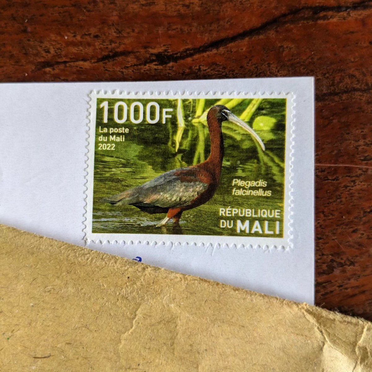 Postcards from Timbuktu tweet media