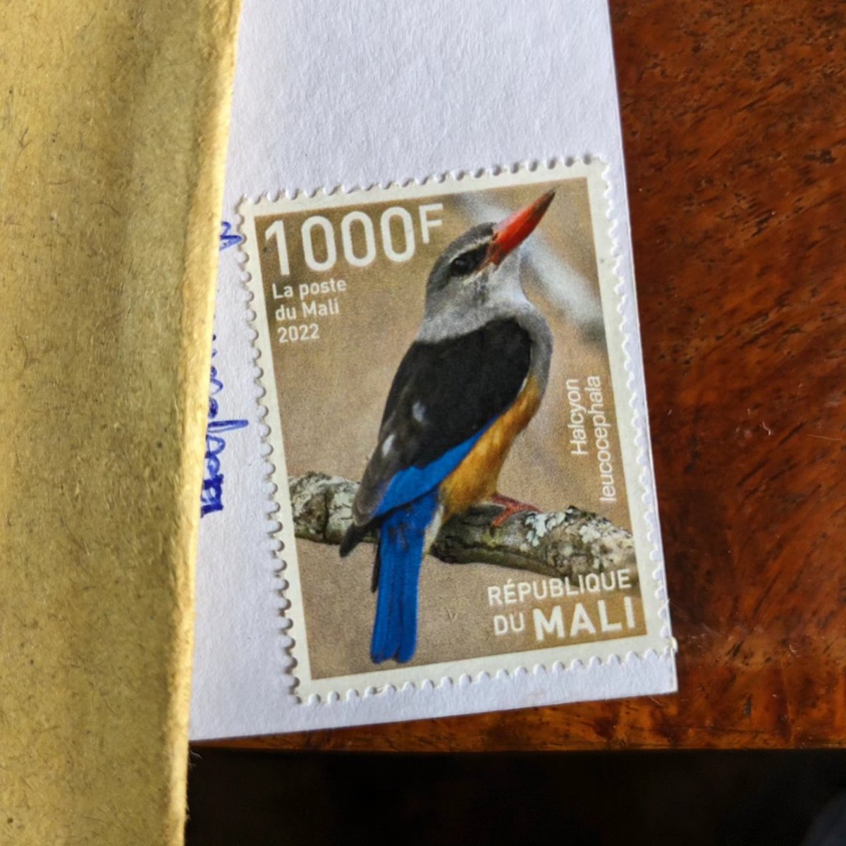 Postcards from Timbuktu tweet media