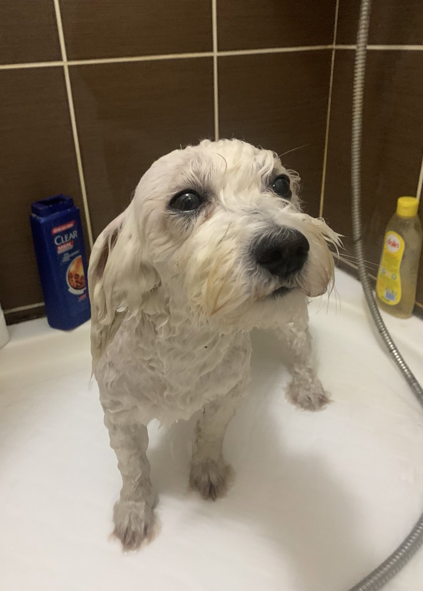 sisi hel halinisle sefebilen bilini bulun