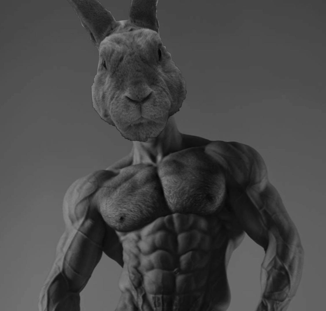 Vasco Dos Coelhos tweet media