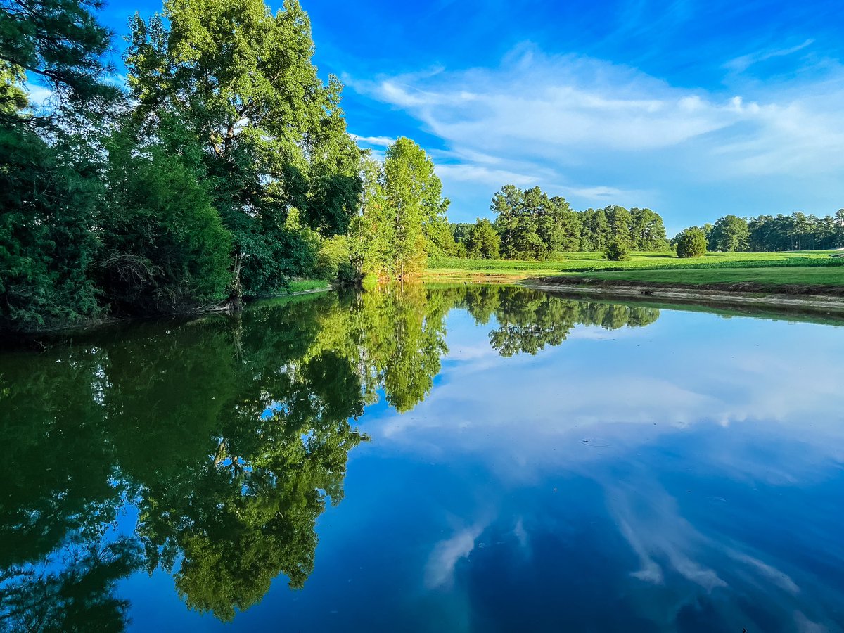 Kristi McLennan tweet media