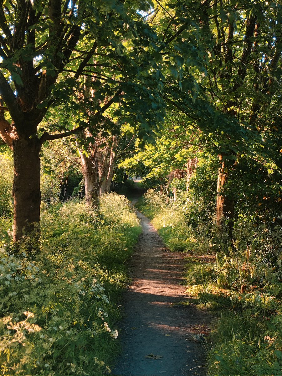jlesther's tweet photo. #Limerick #Ireland #Europe #westfieldpark #park #trail https://t.co/zk2t3SYdgY