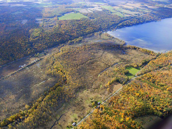 owlgorge's tweet photo. “Owasco Lake,” online anytime, and on Ithaca TV cable channel 13 at 9 a.m. Saturday August 19. Stream online at will via https://t.co/yd5Zs9O6LJ. More cablecasts next week. Photo by Bill Hecht. https://t.co/kWEk5RVPeq