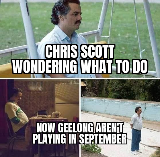 #AFLSaintsCats