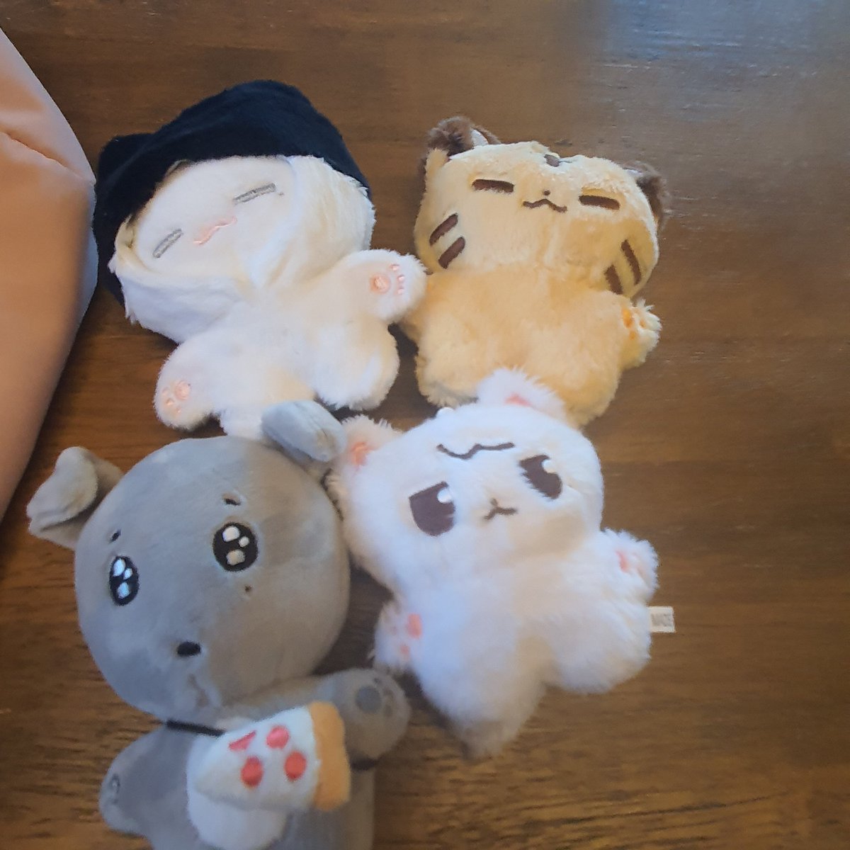 pink_woozi1122's tweet photo. #호띠뾰먕주의보발령
꺄아아아아아아아아아넘기여웅애기들 
우리집에됴왓따요오오오오오오오
주인님께서 똥손이라 사진이 거시기하디만
그래도이쁘궁 귀욥따리이이 우리애기덜
현생이바쁘디만 예쁭애기들 오며 너무 힐링하며 살아가고잇습니댴ㅋㅋ감자해요오옹 
기여웅애들만들어주셔서 💗 https://t.co/9zZQPVcq0v