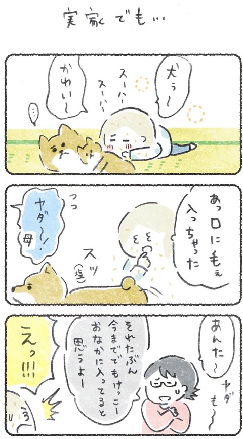 でもまだフツーに好きくらいだと思ってる
https://t.co/Ts81EQ2BWo 
