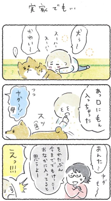 でもまだフツーに好きくらいだと思ってる
https://t.co/Ts81EQ2BWo 