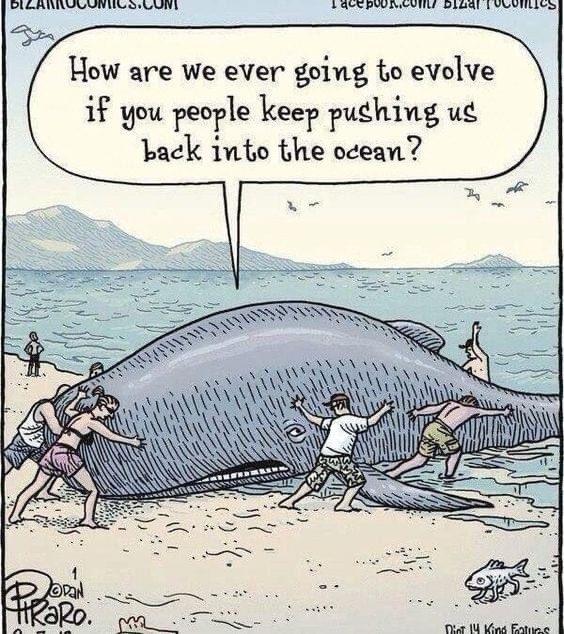 RajDadga's tweet photo. Evolve time!!! Oops, damn you hooman! https://t.co/QldXFdqr6D