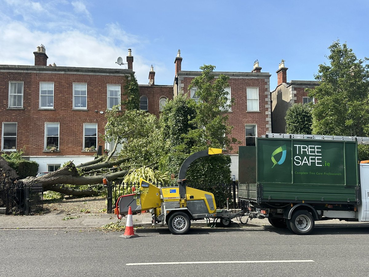 A 94 year old woman escaped injury when a large tree in her front garden fell during #StormBetty narrowly missing her home here in Rathmines, Dublin, more <a href="/rtenews/">RTÉ News</a>