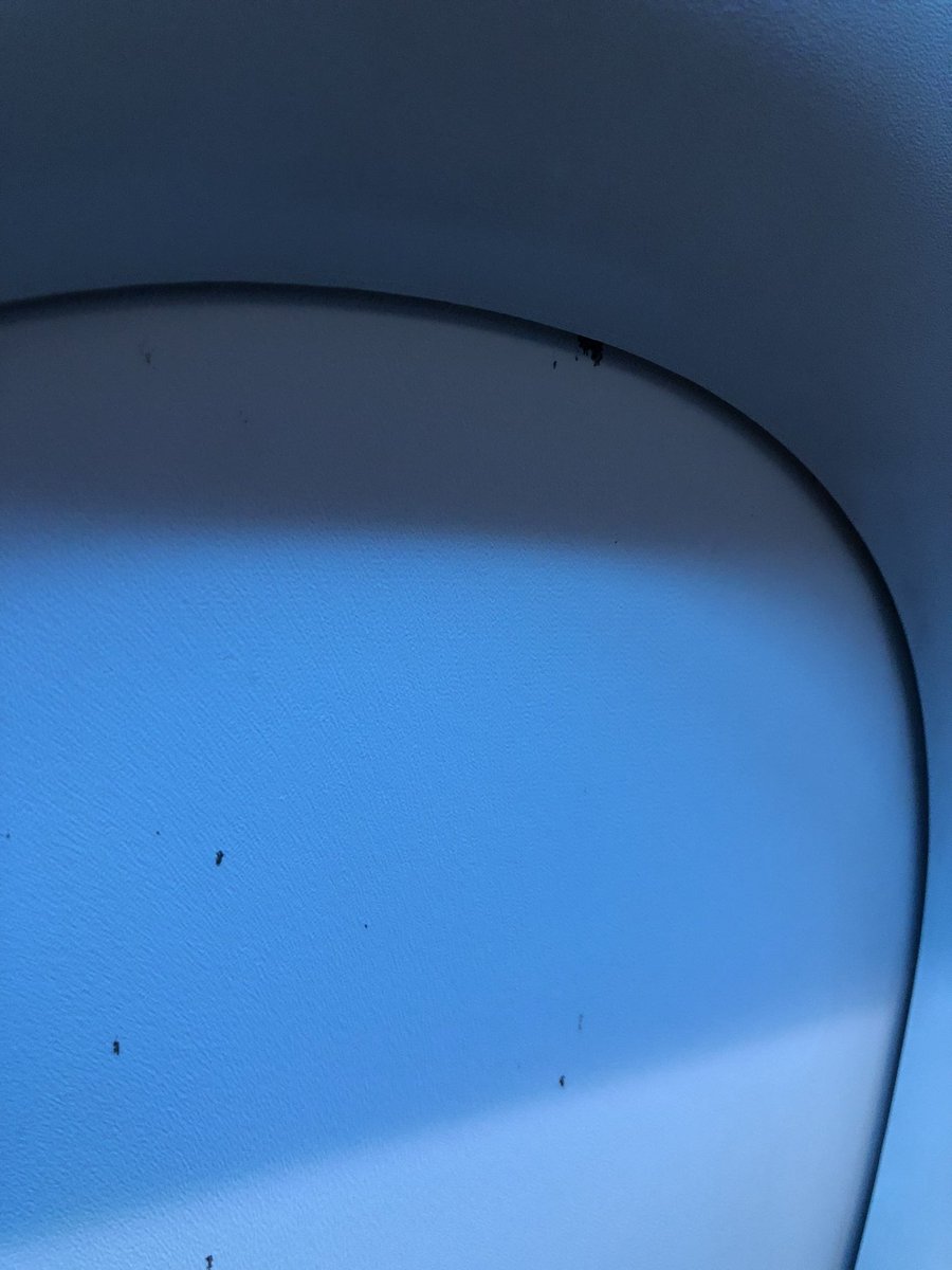 Shoutout <a href="/AmericanAir/">americanair</a> for seating me next to a bloodstained window cover for a 5h flight. Seems hygienic…