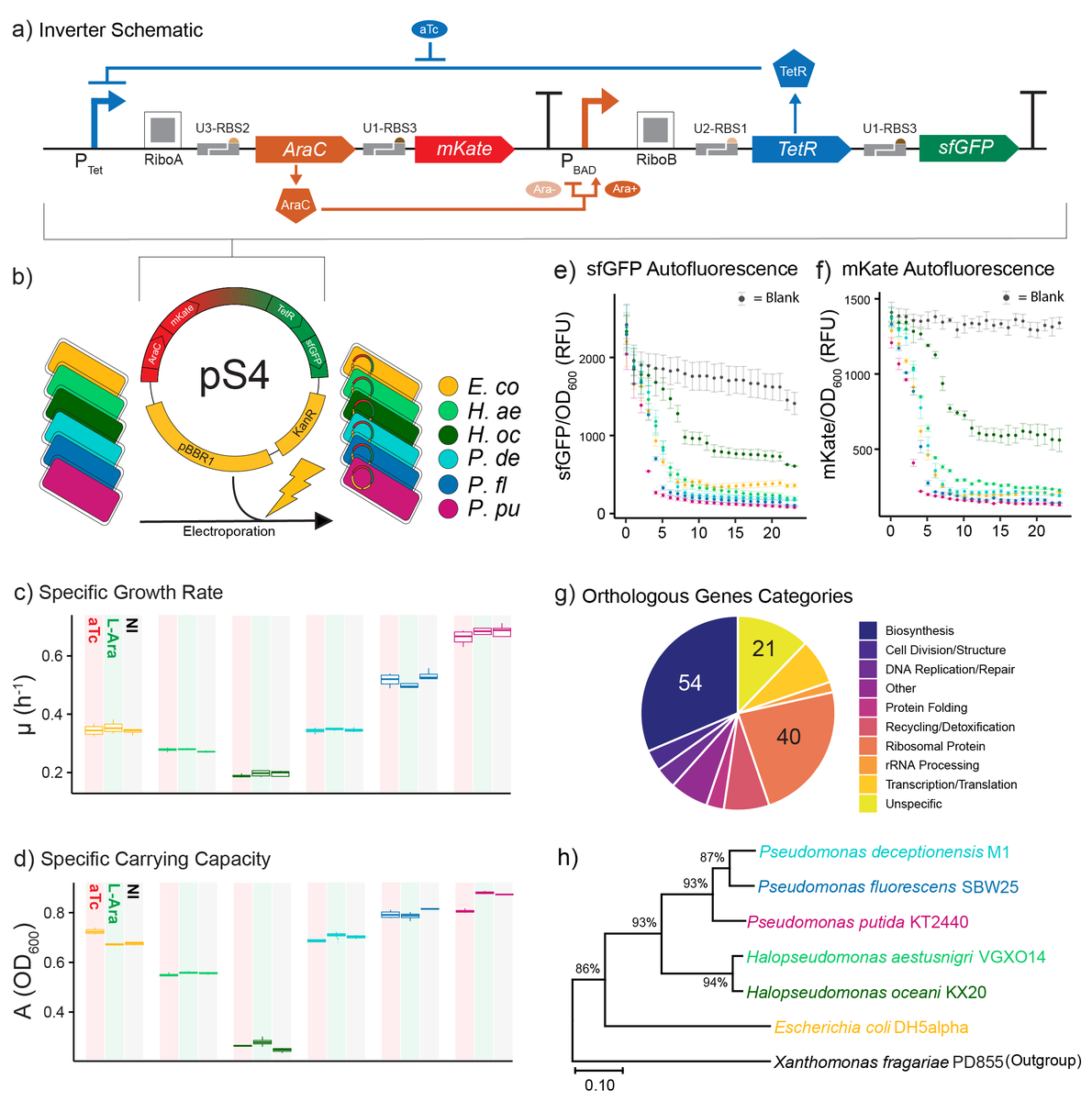 Dennis Tin Chat Chan tweet media