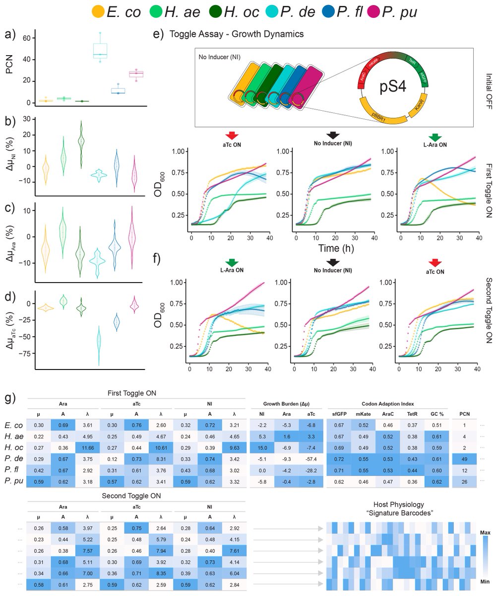 Dennis Tin Chat Chan tweet media