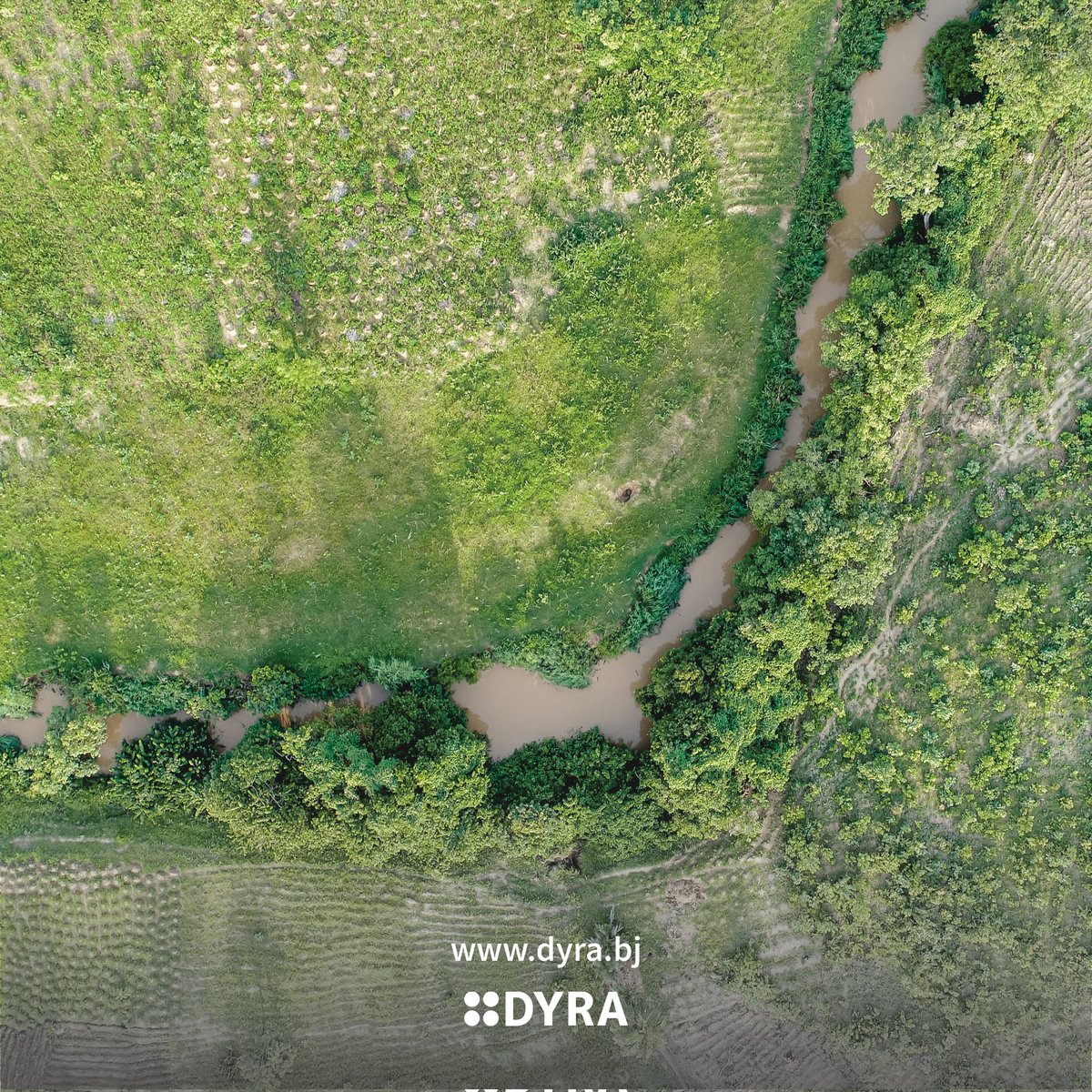 dyra_benin's tweet photo. 📸 Papillon 🦋, Natitingou-Benin
📸 Hibiscus, Perma-Benin
📸 Yapao, Bérecingou-Benin
📸 Télécommande DJI Phamton 4 Pro, Natitingou-Benin 
#JourneeMondialeDeLaPhotographie https://t.co/6ESilsIQTI