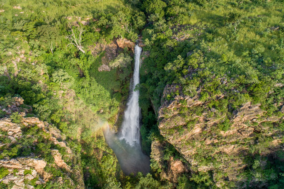 dyra_benin's tweet photo. 📸 Champignon, Chute de Kota-Benin
📸 Insecte, Tanguiéta -Benin
📸 Caméléon, Dassari-Benin
📸 Chute de Tanougou, Bénin
#JourneeMondialeDeLaPhotographie 
#DYRA https://t.co/3JIzke9u1g