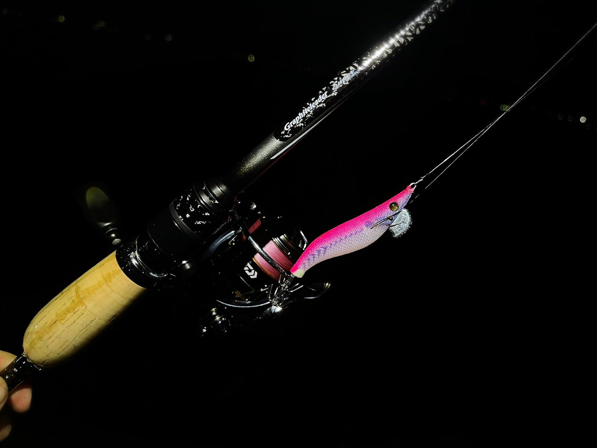 fishingkiuchi's tweet photo. 久々に出したスーパーコルト612L-T♪

アジングのはずが何故かイカ釣りに…笑笑

超高感度エギング笑笑 https://t.co/t5f0NJAzO1