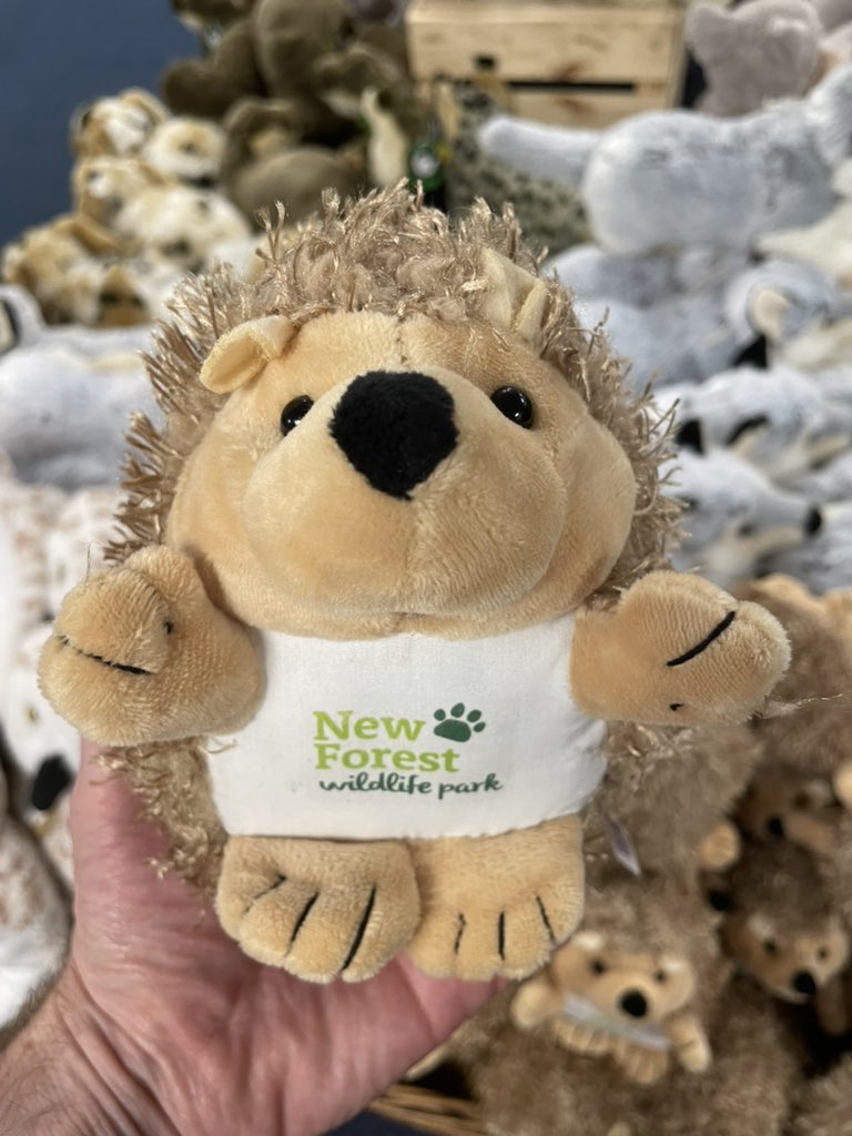 Look <a href="/emmajmorley/">Emma Morley</a> - I found Francis’ long lost cousin! 🦔 😱