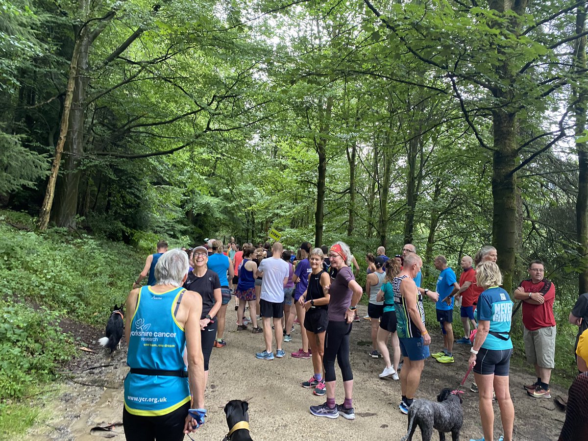 Steve Counter tweet media