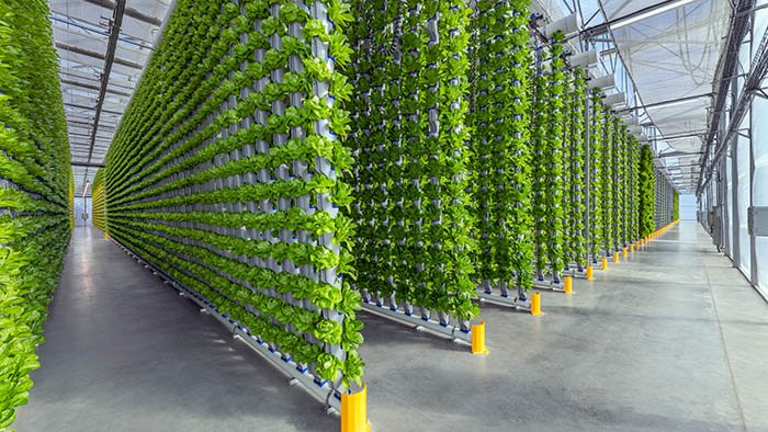 KazunguMireille's tweet photo. "🌱 Vertical farming: Elevating the future of food!  Imagine producing more with less space, conserving water, and ensuring fresh greens year-round. https://t.co/zFo4g30UrE