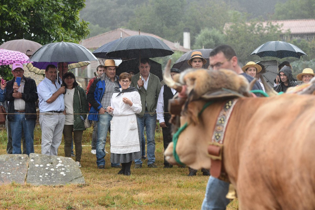 RomanLalin's tweet photo. Os labores tradicionais levan séculos sendo espazos de reunión, debate e amizade no noso rural

A Malla de Doade, en Lalín, revive cada ano este espírito. Hoxe, malia que o día non acompaña, é un pracer compartir esta festa e todo o que significa cos veciños un ano máis https://t.co/c8Q4bEDnRa