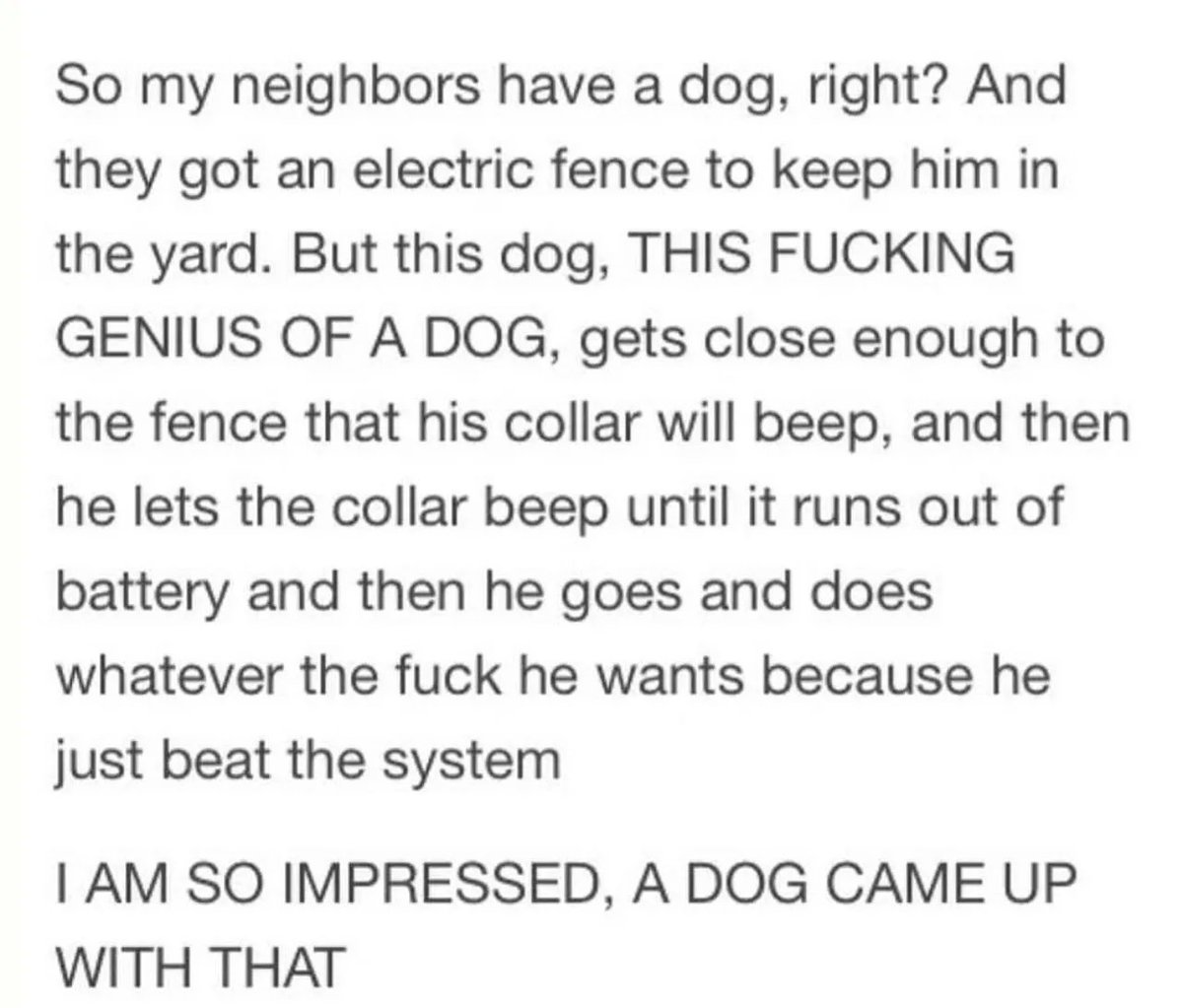 Satan (@s8n) on Twitter photo 