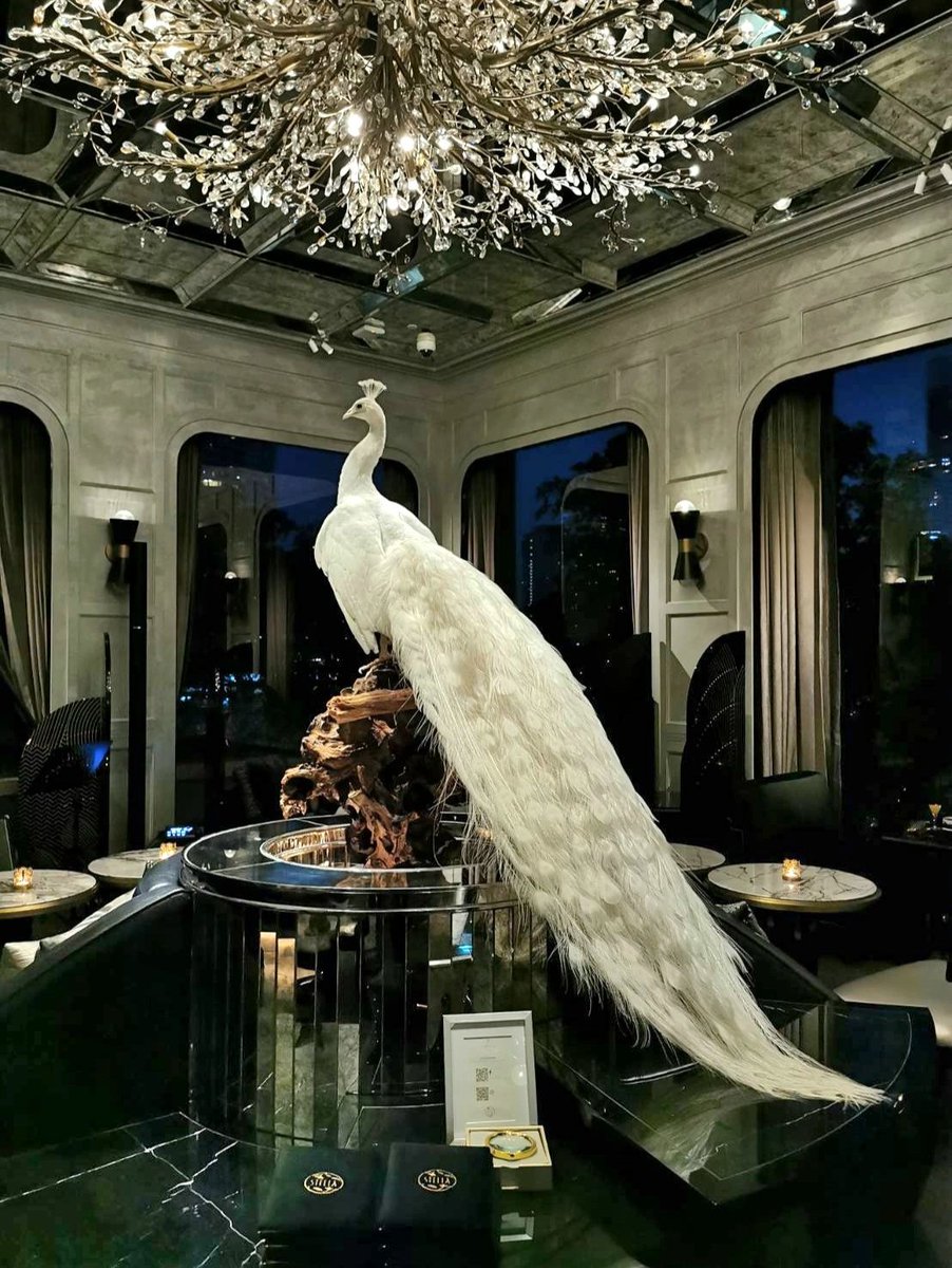 jodyi99's tweet photo. Come and have a cocktail with some snack. Another fun thing for weekend 😊😊 
""Capella Hotel Bangkok" https://t.co/sIhlkDnbvo
