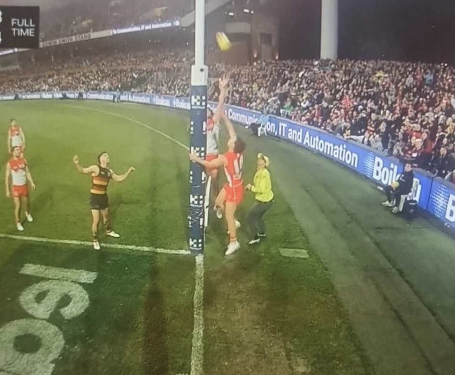 Ryan Fitzgerald tweet media