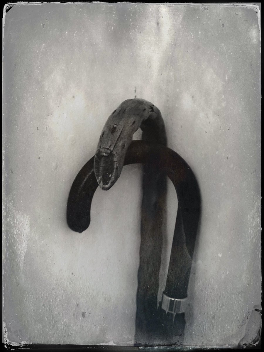 Come on all you #photography #fans it’s #WorldPhotographyDay2023 RT and #Sharethelove