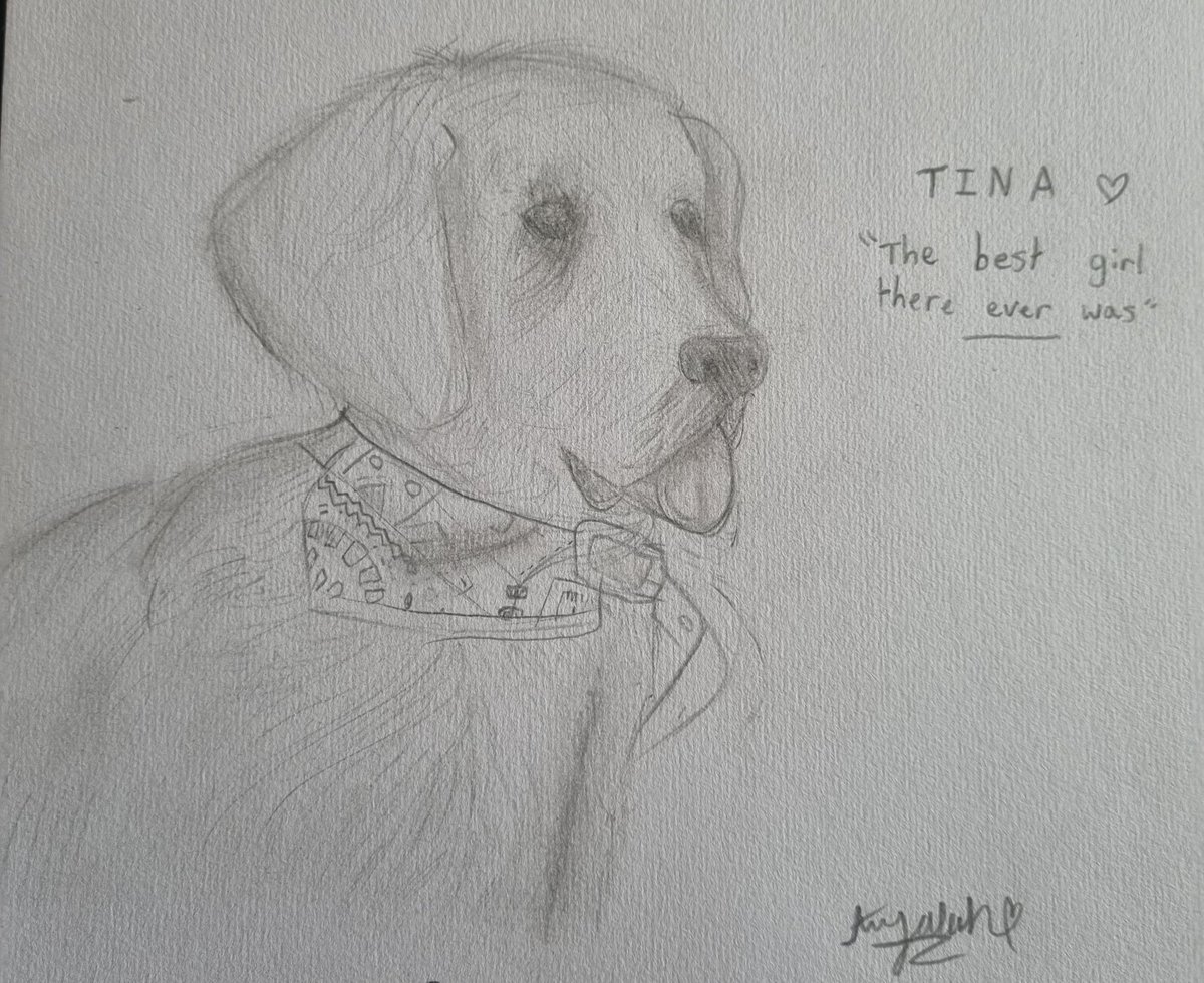 <a href="/NiallHarbison/">Niall Harbison</a> My Daughter was so touched by Tina,she's spent her time drawing her. Tina's aura was like no other,people could see&amp;relate to the fact that Tina was put on this planet to send a message, advocate for dogs,educate people in kindness&amp;to leave this legacy as her stamp on the world❤