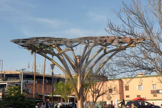 AfricaFactsZone's tweet photo. Solar panel trees are used to charge phones in Marrakesh, Morocco 🇲🇦. https://t.co/YnbwsAsUCk