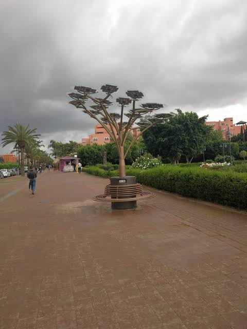 AfricaFactsZone's tweet photo. Solar panel trees are used to charge phones in Marrakesh, Morocco 🇲🇦. https://t.co/YnbwsAsUCk
