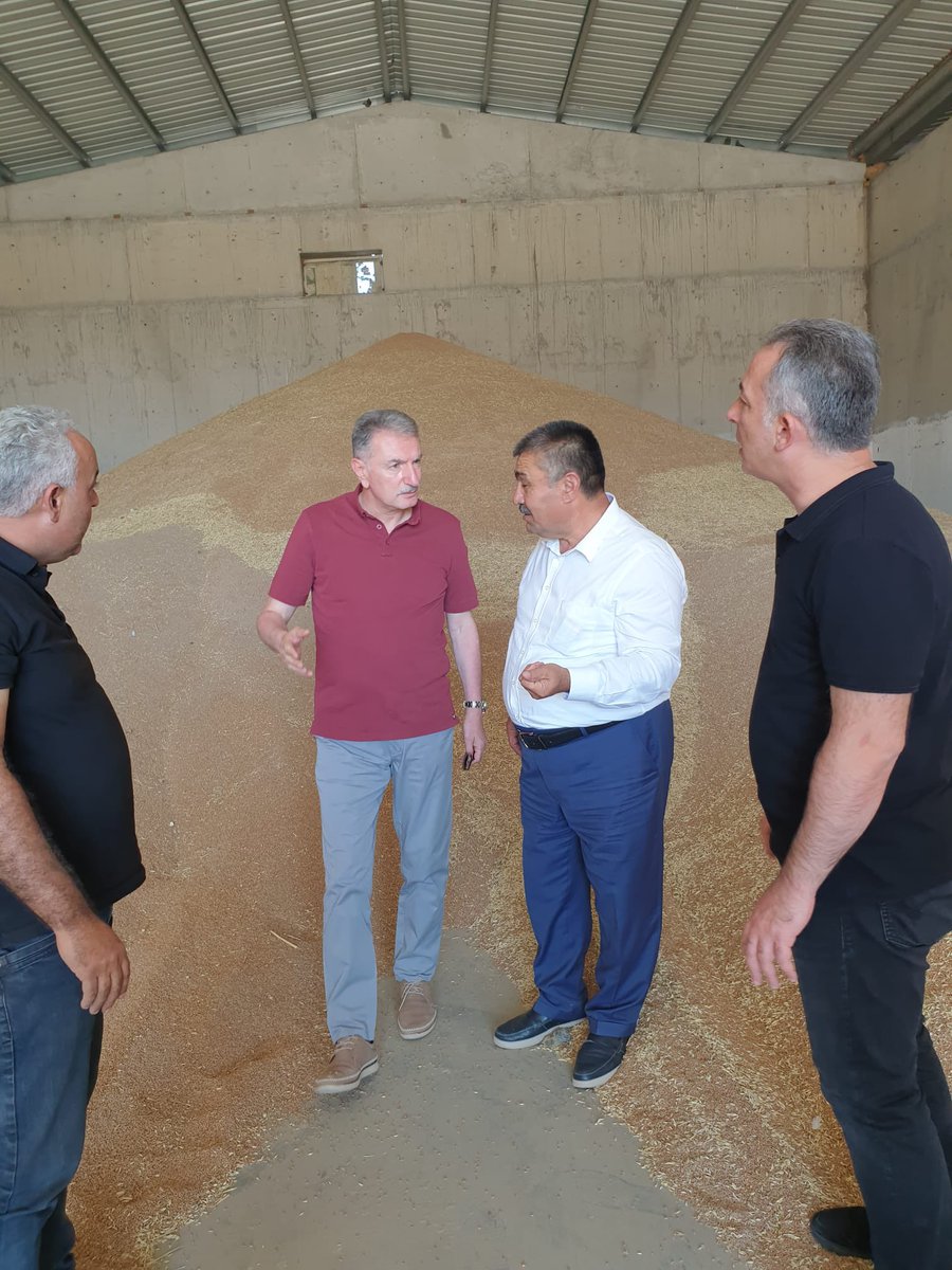 Ahmet_Guldal's tweet photo. Himmetdede Geçici Alım Merkezi ve açık yığın sahalarında incelemelerde bulunduk. 

Alım Merkezimizde faaliyetlerimiz hasadın sonlanması sebebiyle azalarak devam ediyor. 

Görevi başındaki personelimize kolaylıklar diliyor, tesis sahibi Sayın Bülent ASLAN' a destekleri için teşekkür ediyoruz.

#tmo
