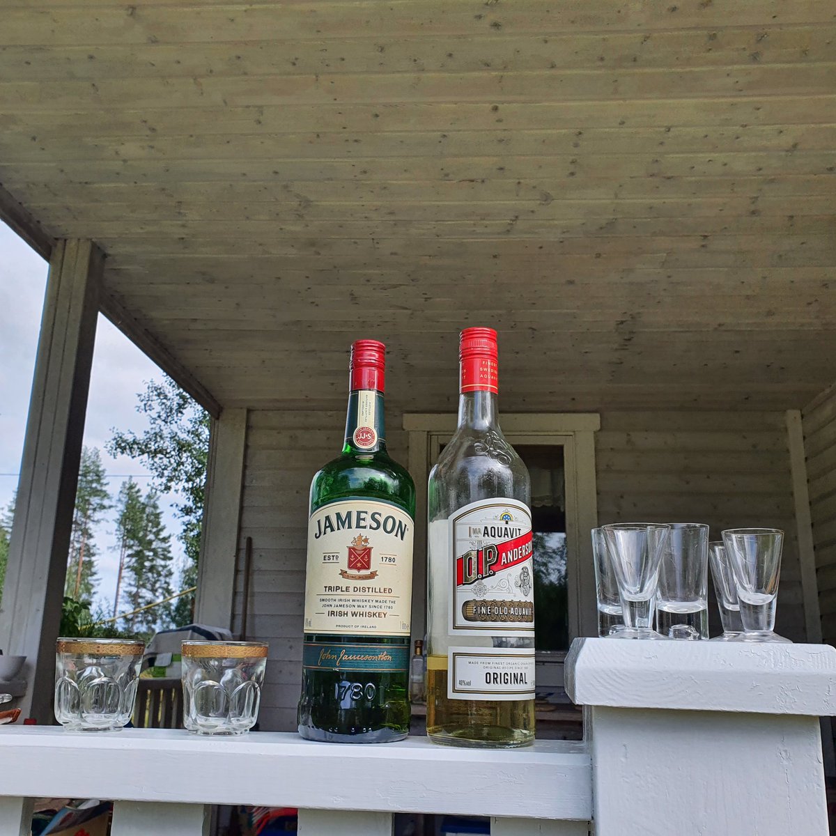 Barbora 🇺🇦 tweet media