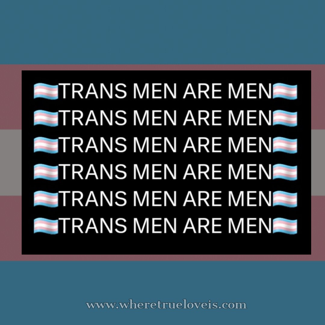 WhereTrueLoveIs's tweet photo. 🏳️‍⚧️TRANS MEN ARE MEN🏳️‍⚧️ https://t.co/wjOeoW7xlu