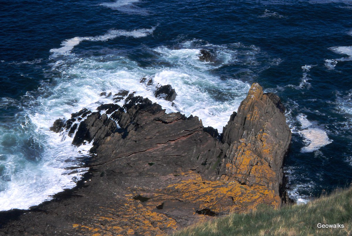 scottishgeology's tweet photo. Join Dr Angus Miller @Geowalks for a guided walk to Siccar Point on Sat 2nd Sept! The walk will follow James Hutton’s journey along the coast from Cockburnspath, travelling back in time through 3 periods of contrasting sedimentary rocks 🌎

Book here - https://t.co/YeMJk7n9Iu https://t.co/2Vh1EAb1MZ
