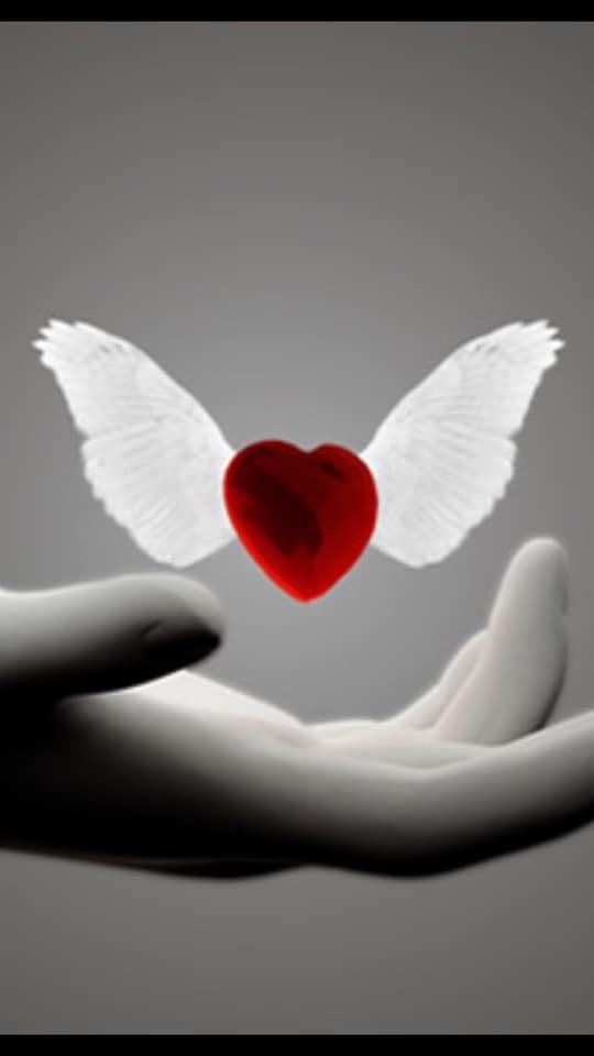 Crystal Hamaker tweet media