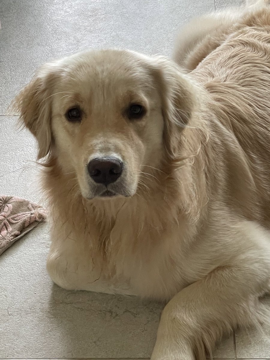 너무 예뻐서 미치겠음 어떡하지 진짜 입에 넣어버릴 수도 없고