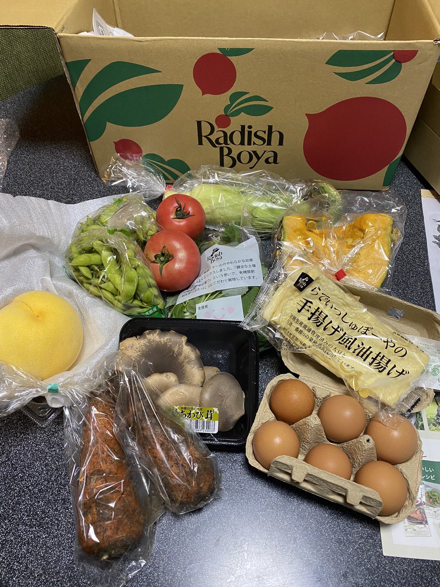 FXyumin's tweet photo. @nana_traders 今、届きました！
1,980円〜　
早速とうもろこし食べちゃいます🌽 https://t.co/OhrS07pfJb