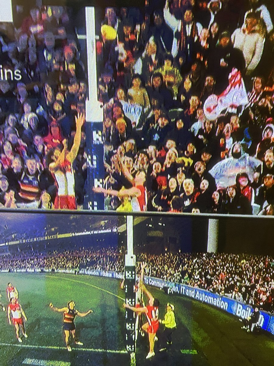 Nick Bernabei tweet media