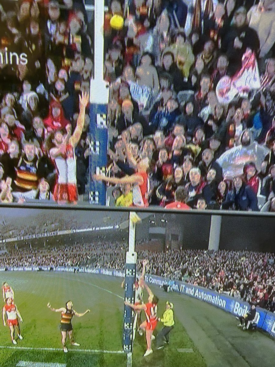 Nick Bernabei tweet media