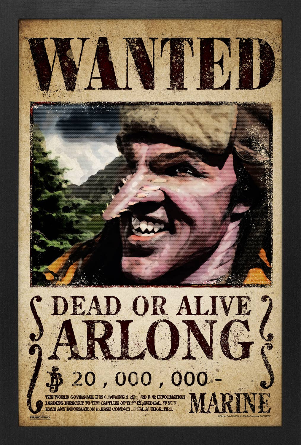 one piece wanted poster template