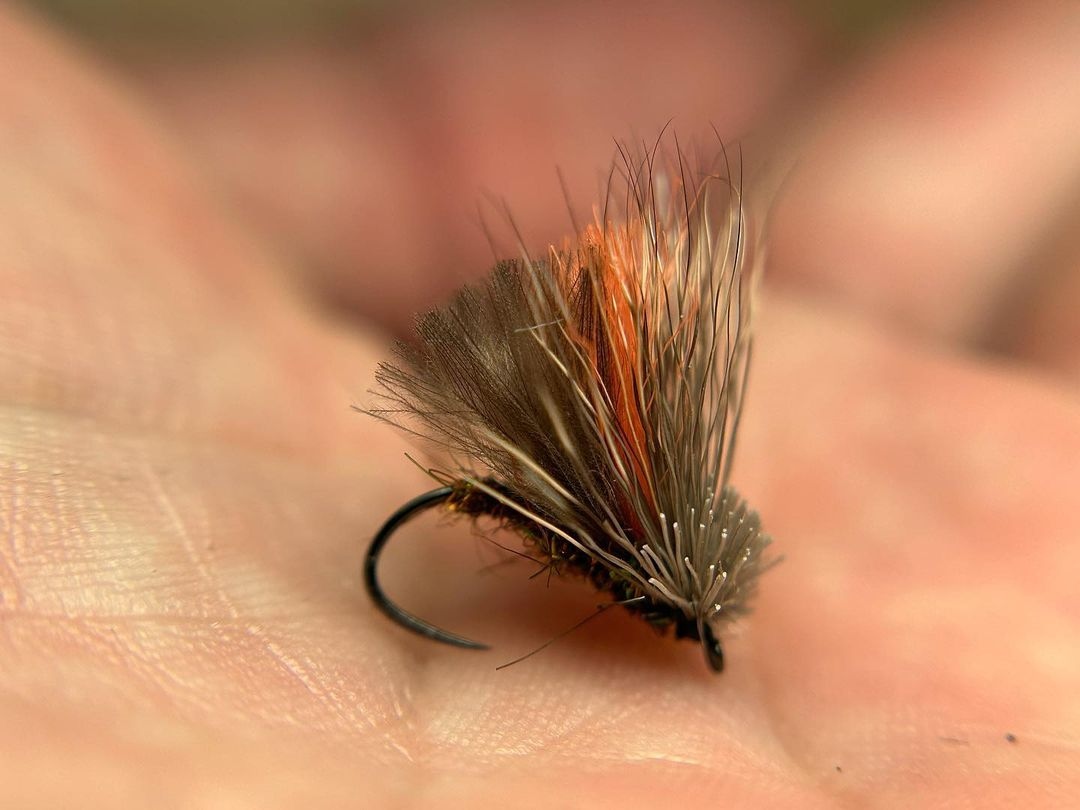 MidCurrent's tweet photo. "#12 Clueless Caddis
I’ve raved over this one a lot over the years. Simply put it’s a dry dropper machine." // tie and image by Erik Clymore @erikclymore
.
.
.
.
.
#flytying #flytyingjunkie #flyfishing #flyfishingaddict #flyfish #flytyingnation #jstockard #stillwaterflyfishing https://t.co/xudKjzj09N