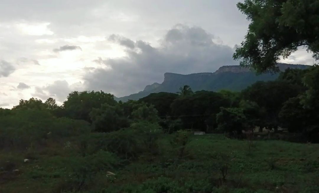 bipolarPhoeniX_'s tweet photo. #WorldPhotographyDay ๐ค
Here is a Thread of my Clicks
#redmicamera https://t.co/57S4koFnp3