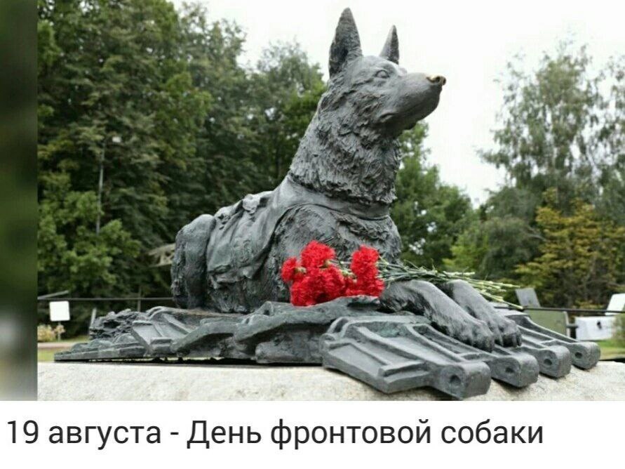 Елена (@zs861) on Twitter photo 