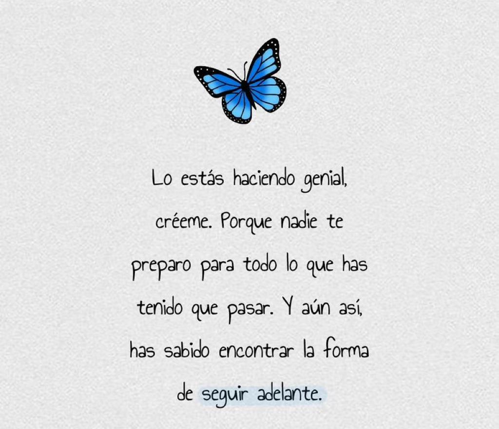 yasper54's tweet photo. 🦋 https://t.co/VKRMlSZ6LV