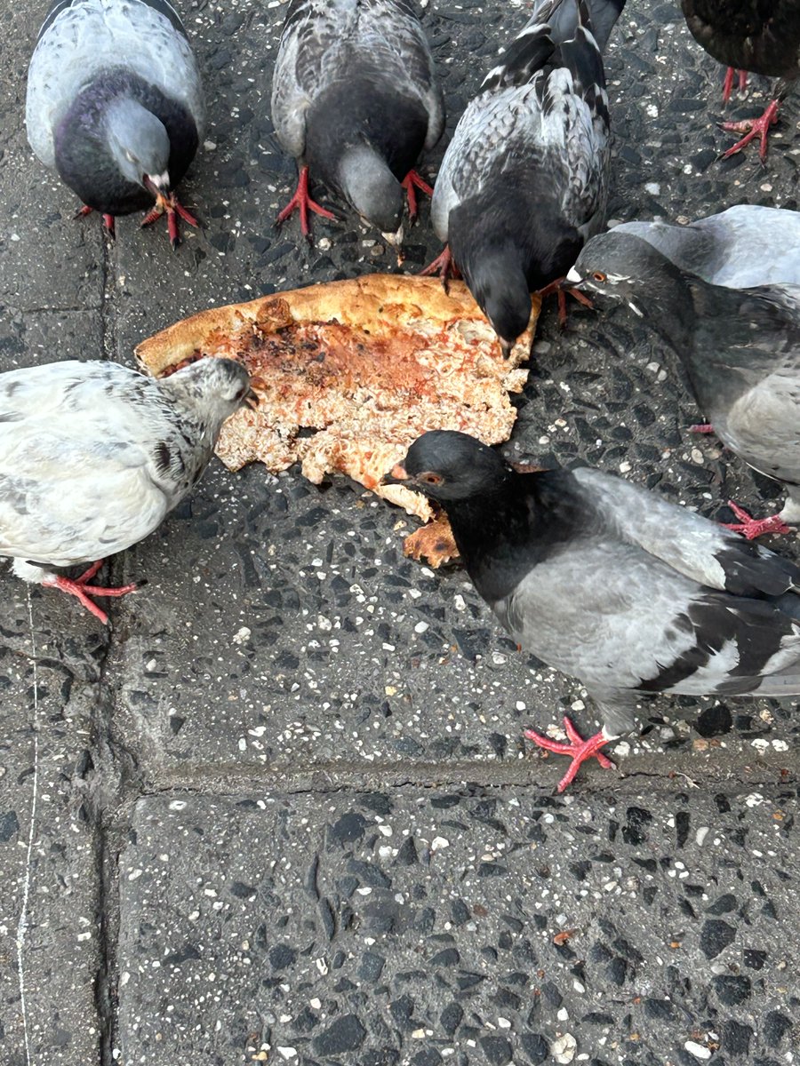 Pizza Party on Eighth Avenue this morning at 7:00 AM. Another example of the city that never sleeps...@TwitterNYC @NY1